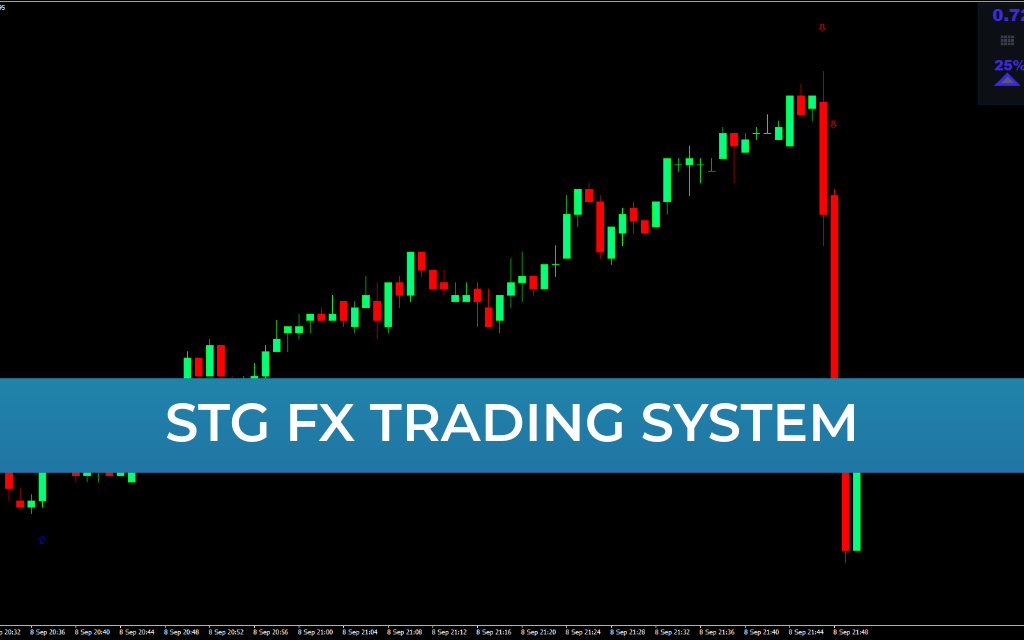 STG FX Trading System