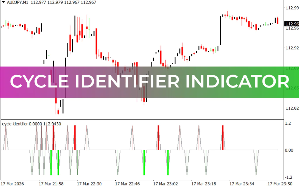 Cycle Identifier Indicator