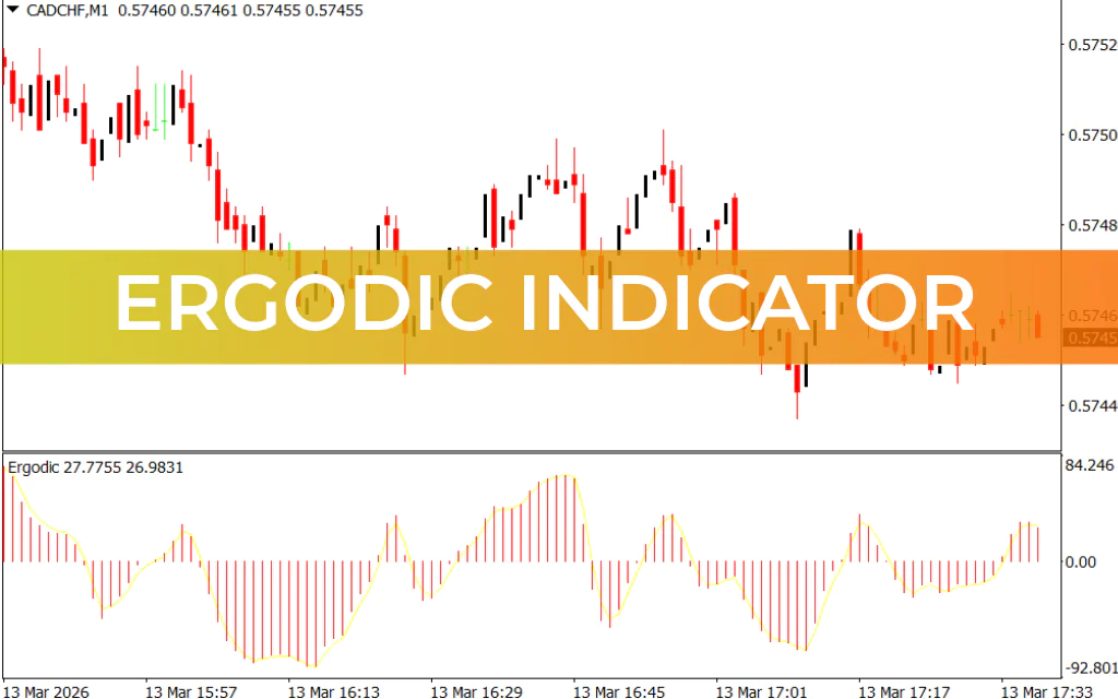 Ergodic Indicator