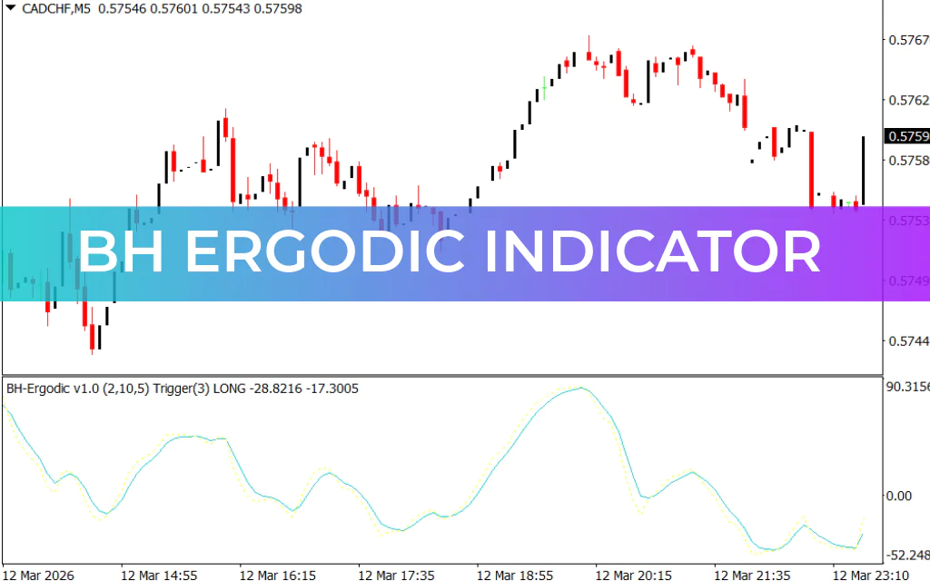 BH Ergodic Indicator
