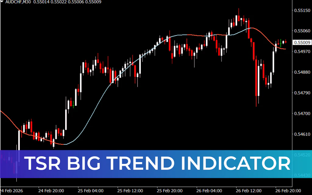 TSR Big Trend Indicator
