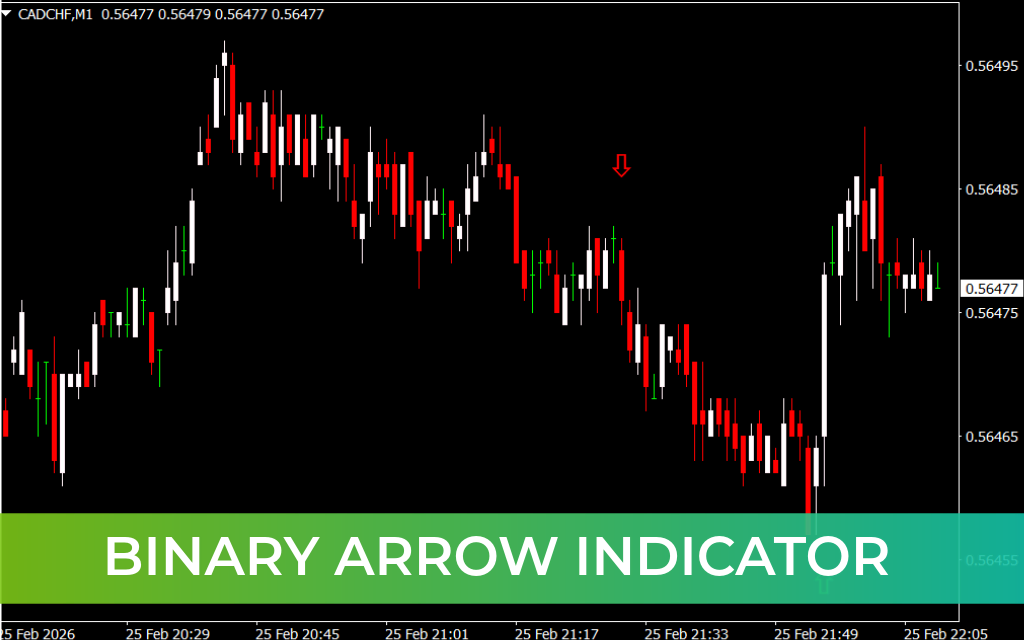 Binary Arrow Indicator